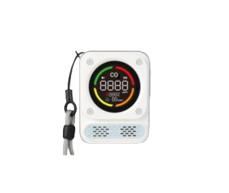 BH-X01 Carbon Monoxide Detector